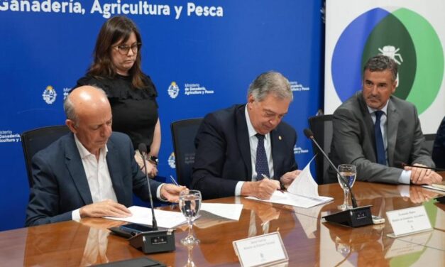 Avance del Programa Mosca de la Bichera