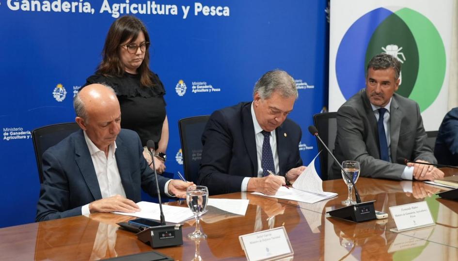 Avance del Programa Mosca de la Bichera