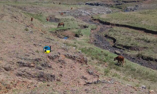 MGAP cesa emergencia agropecuaria