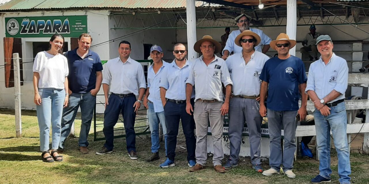Zapará hizo 511 dólares de promedio