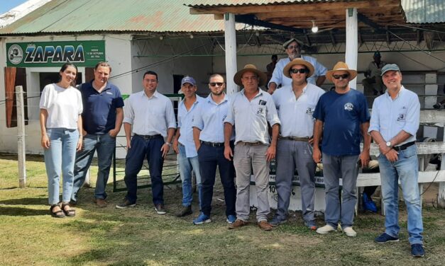 Zapará hizo 511 dólares de promedio