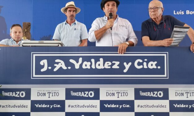 Este jueves 22 es el remate de El Piramidal de Gambetta