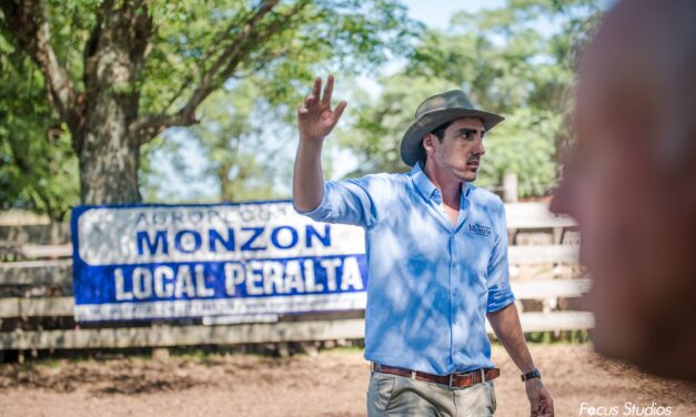 Local Peralta: Ventas totales con mercado ágil