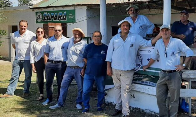Feria en Zapará: mercado ágil y buenos precios
