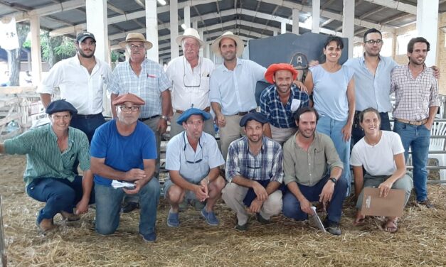 Más carne Más lana 2024 con buenos resultados
