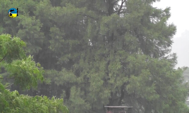Lluvias mes de marzo 2026