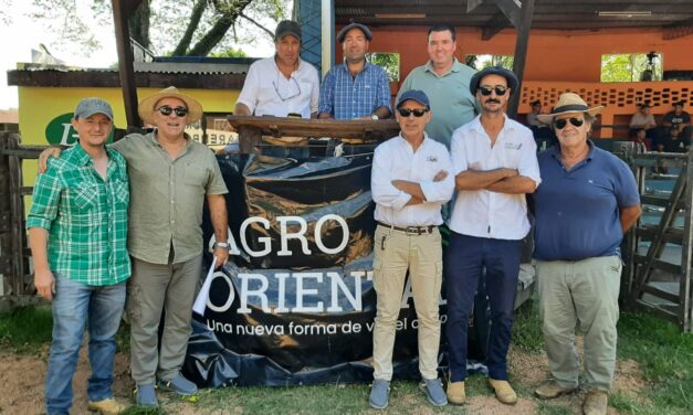 Agro Oriental registró un promedio de U$S 490