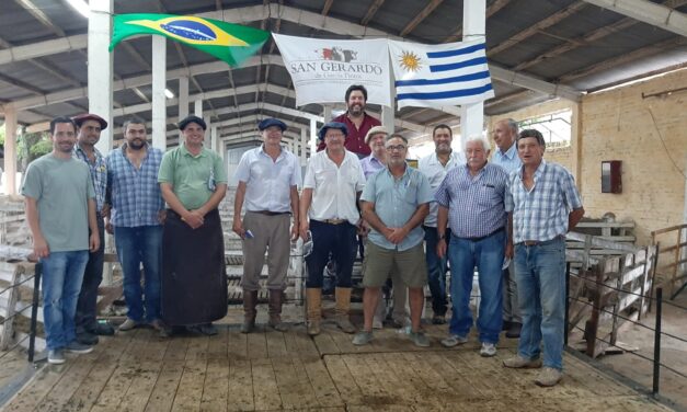 San Gerardo vendió sus Corriedale