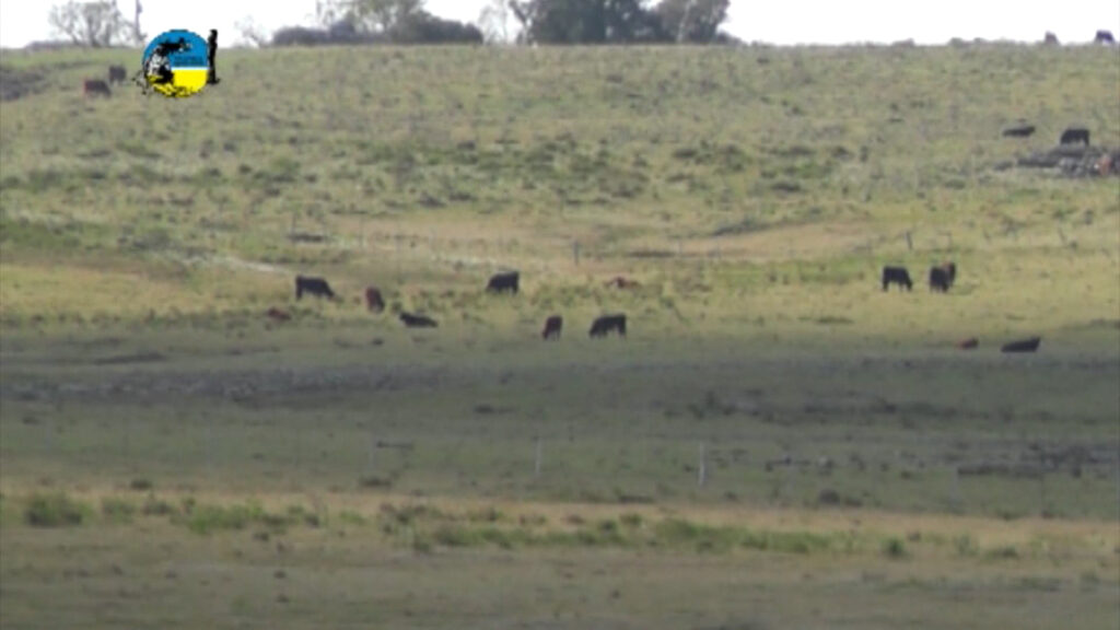 imagen de campo, van más de 7.000 explotaciones agropecuarias censadas