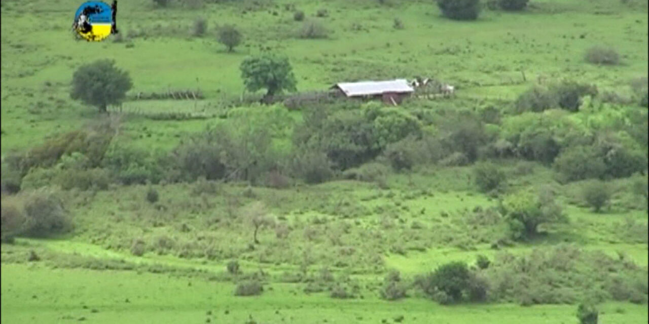 Censo Agropecuario reveló el 57% del área productiva rural
