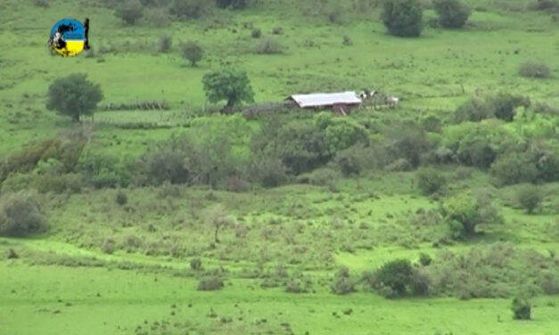 Censo Agropecuario reveló el 57% del área productiva rural