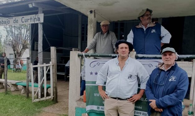 Feria en Curtina tuvo un promedio general de U$S 516