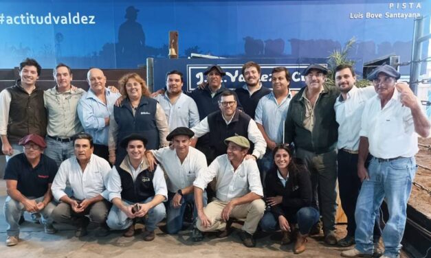 Un gran Ternerazo con precios excepcionales