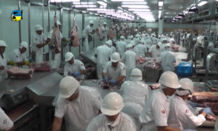 Faena Bovina fue de 49.438 cabezas