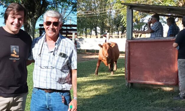 Paso Casildo mostró firme demanda y buenos valores
