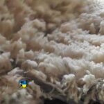 En el mercado interno de lanas se vendieron 192.300 kg.