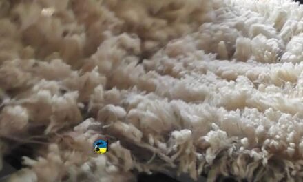 En el mercado interno de lanas se vendieron 192.300 kg.