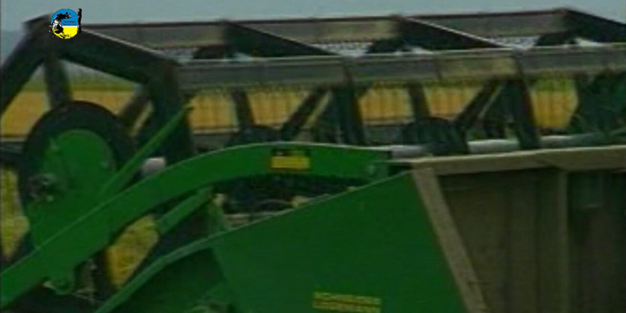 Mercado de granos tiene como punto principal la cosecha de arroz