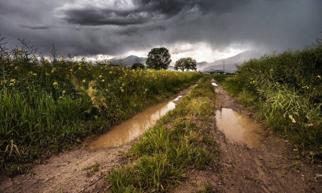 Gobierno declaró emergencia vial en todo el país