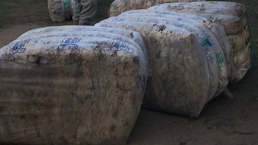 Negocios de lana de diferentes micronajes en el mercado interno