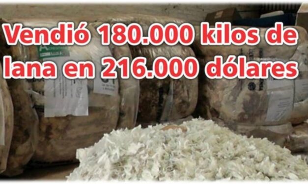 Palenque Rural: 180.000 kilos de lana en 216.000 dólares