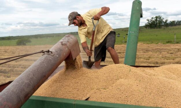 UTU recaudó más de 1.160.000 dólares de sus escuelas agrarias