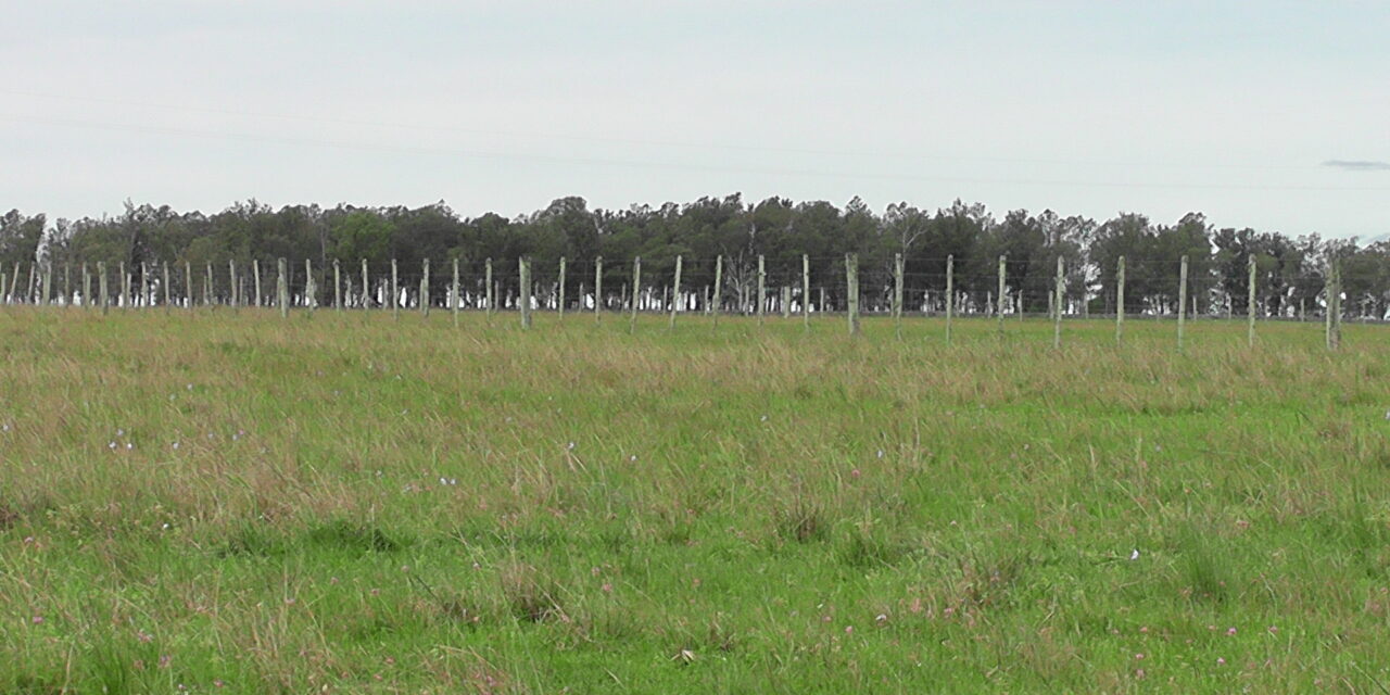 Censo Agropecuario: van 28.000 registros efectuados