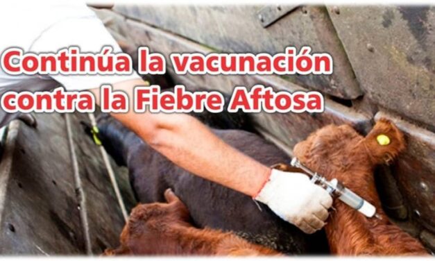 Palenque Rural: continúa vacunación contra aftosa