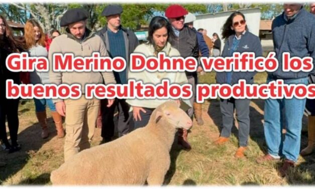 Palenque Rural: gira Merino Dohne