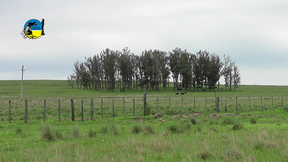 IMAGEN DE CAMPO, COLONIZACIÓN READECUA EL VALOR DE LAS RENTAS
