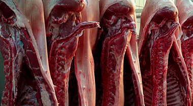 IMAGEN DE CARNE DE CERDO, PALADINI OBTIENE VISTO BUENO PARA SUS VENTAS A URUGUAY