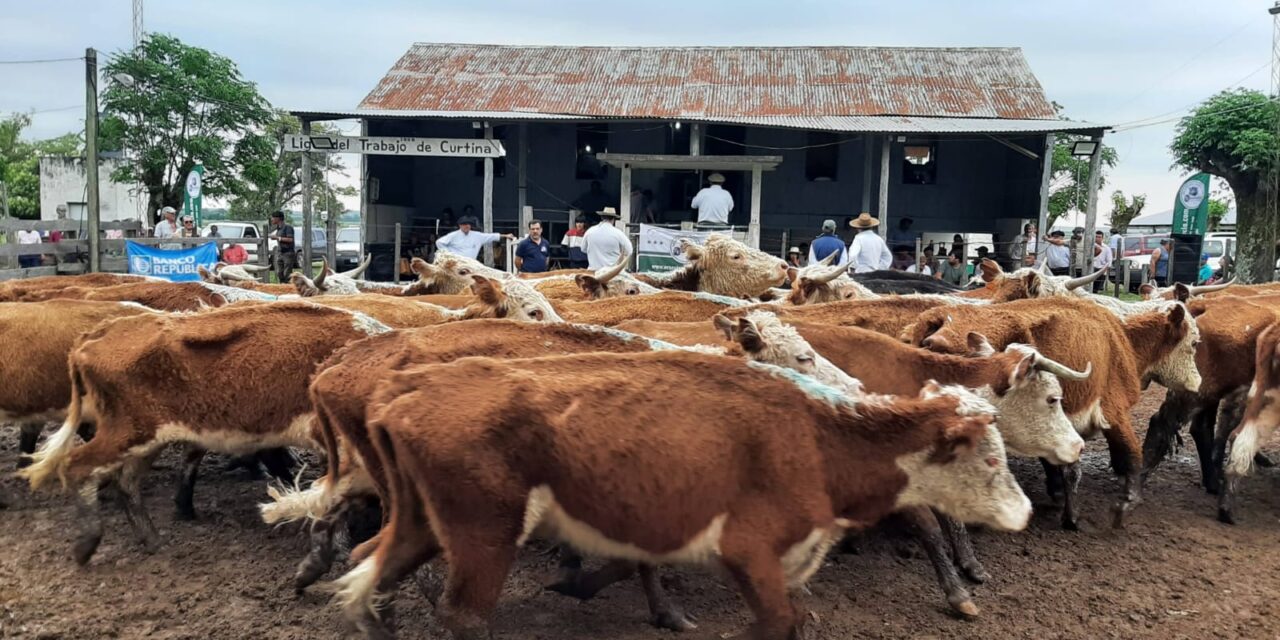 Feria en curtina reflejó demanda y agilidad en el mercado
