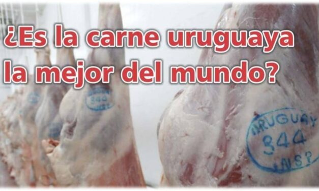 Palenque Rural: ¿Es la carne uruguaya la mejor del mundo?