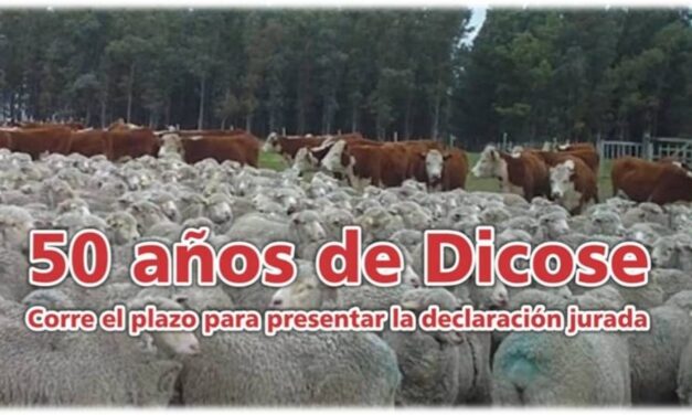 Palenque Rural: corre el plazo para presentar declaración jurada