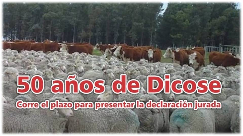 Palenque Rural: corre el plazo para presentar declaración jurada