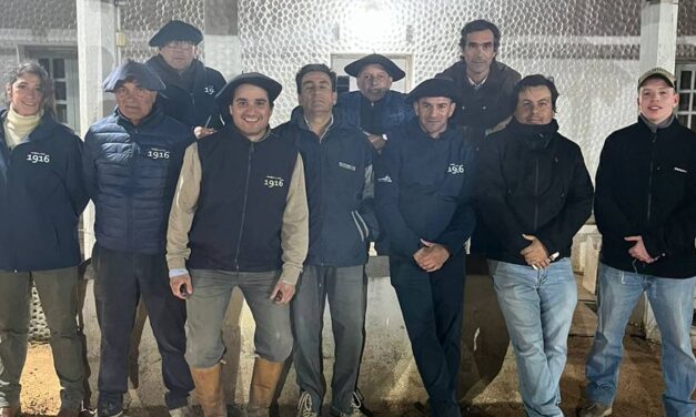 Ansina: Abultada oferta con buenos valores