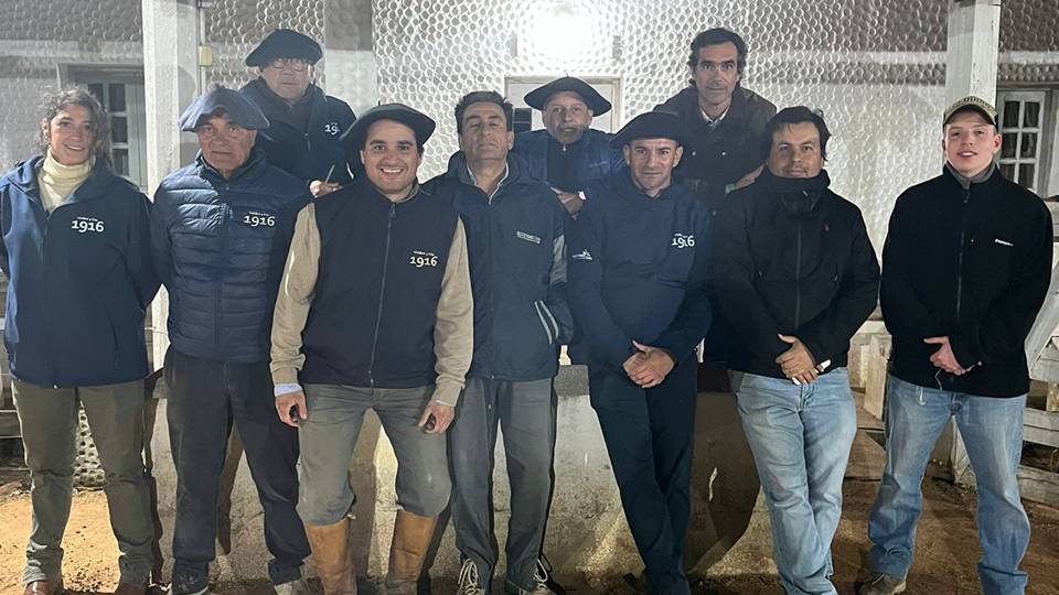 Ansina: Abultada oferta con buenos valores