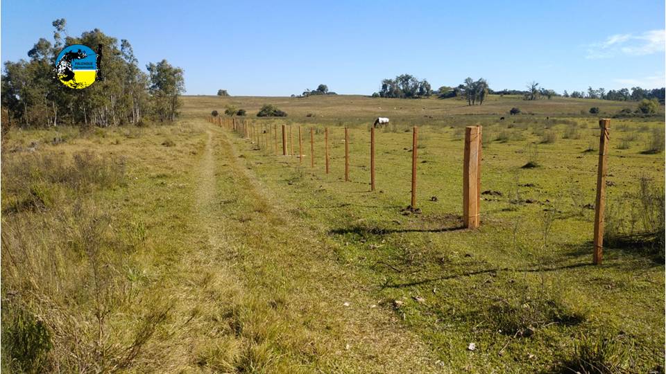 imagen de campo, beneficierios de colonización podrán capacitarse