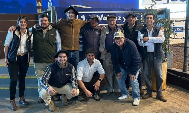 Don Tito: Precios acorde al ganado