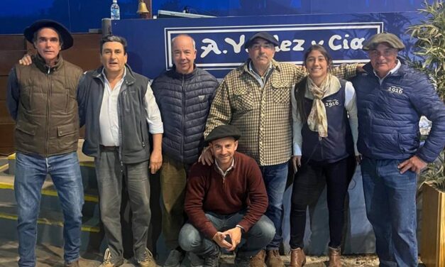 Don Tito: Remate completo en haciendas y en precios