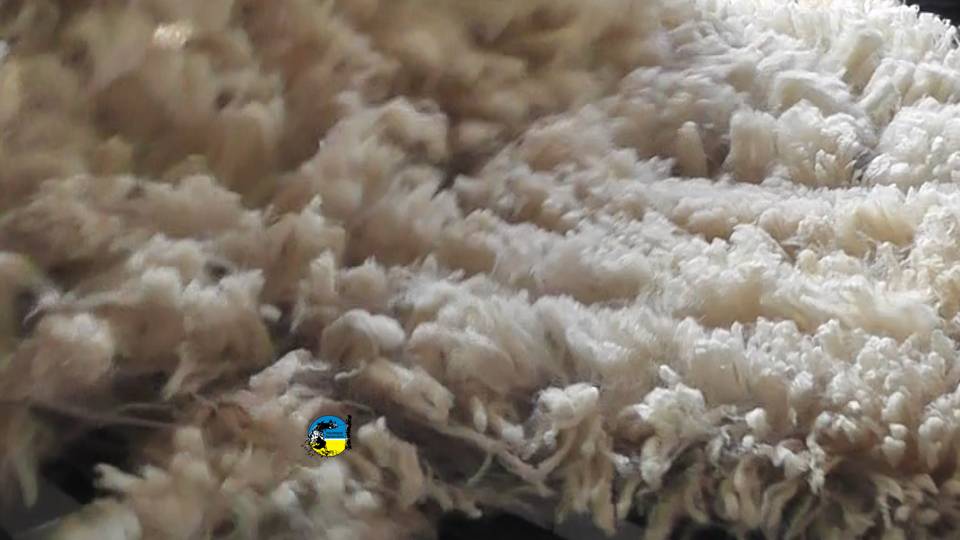 imagen de lanas, negocios de lana merino y corriedale en el mercado local