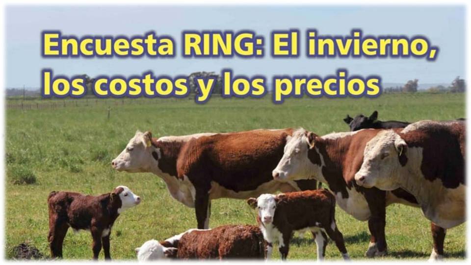 Palenque Rural: Encuesta RING