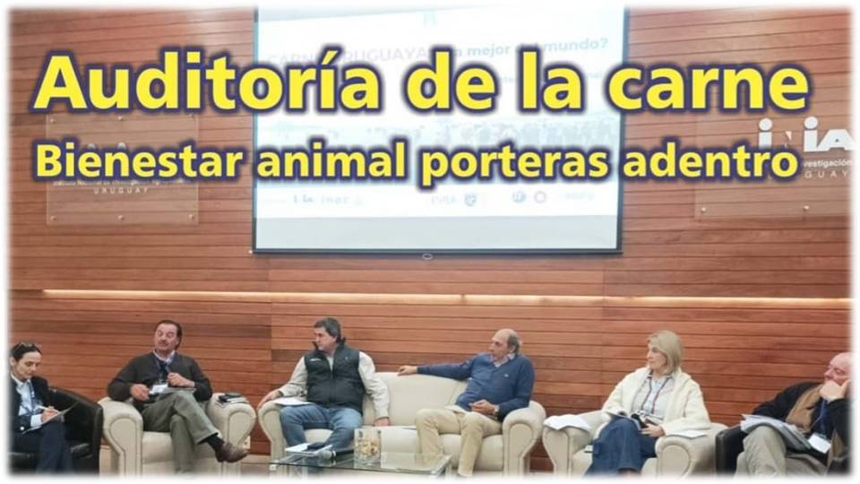 Palenque Rural: Auditoría de la carne