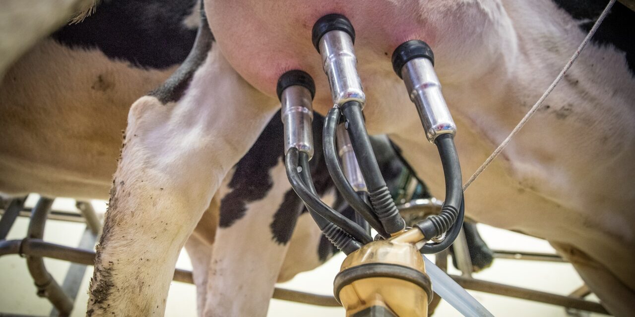 En 2023 se remitieron a las industrias 2.114 millones de litros de leche