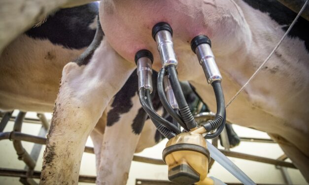 En 2023 se remitieron a las industrias 2.114 millones de litros de leche