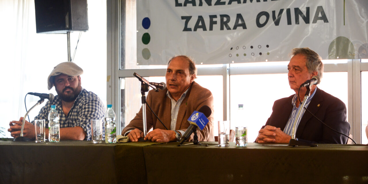 Lanzamiento zafra ovina 2024-2025