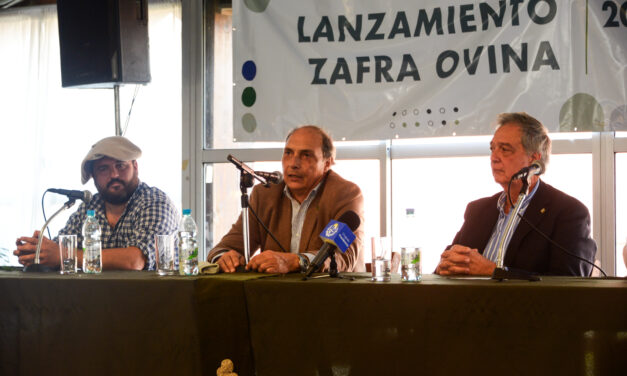 Lanzamiento zafra ovina 2024-2025