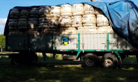 Lanas: otra semana importante de ventas