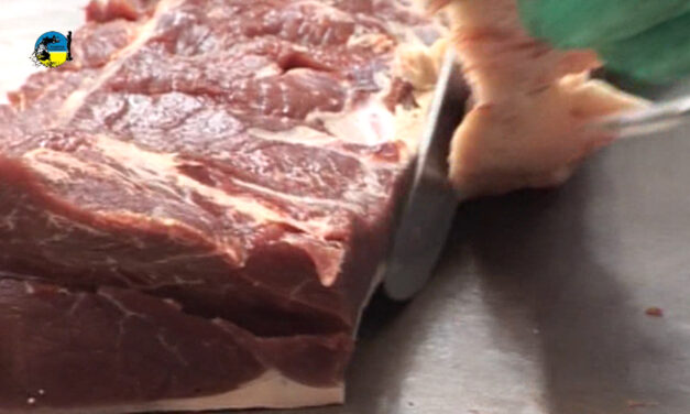 Europa cambia coches por carne vacuna
