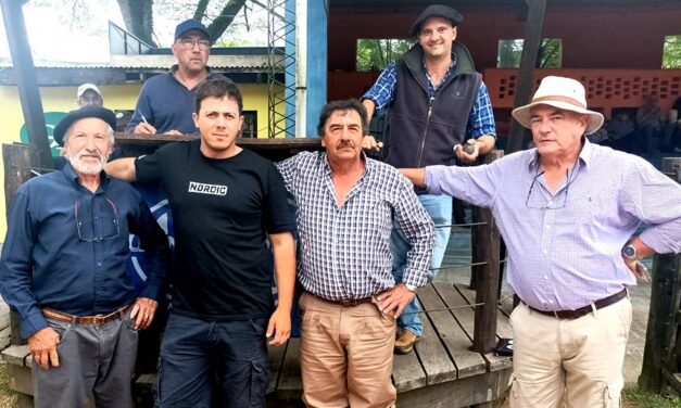 Porto en la Rural de Tacuarembó con lotes muy destacados